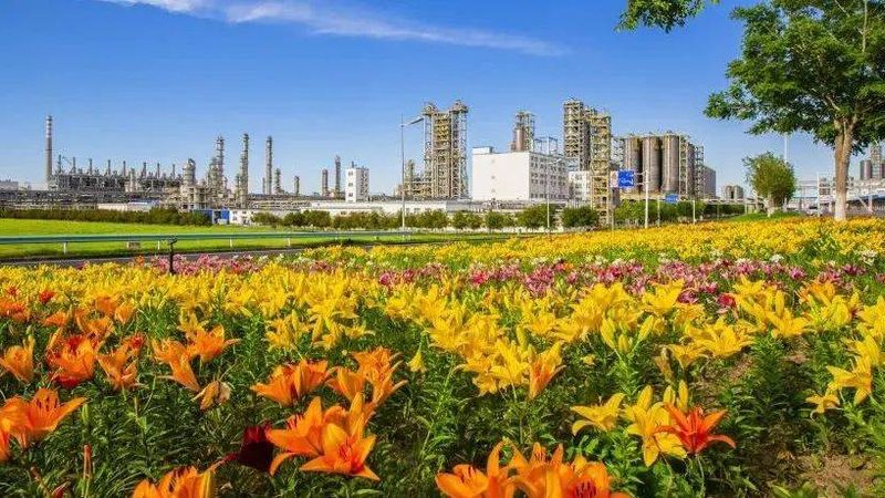 江门市蓬江区包装有限公司
